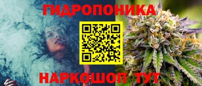 шишки Ноябрьск