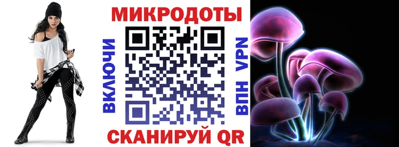 сколько стоит  Хасавюрт  Галлюциногенные грибы Cubensis 