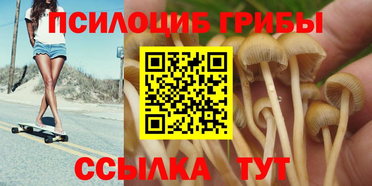 купить наркотики сайты  Псилоцибиновые грибы ЛСД  Вход с VPN  Хасавюрт 